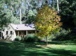 shady brook cottages Harrietville